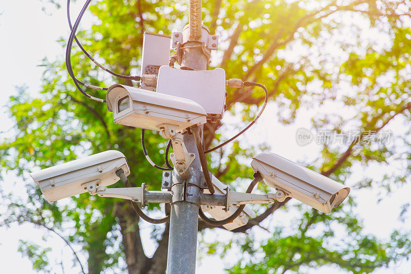 户外IP CCTV网络摄像机防风雨防护罩，以保护保卫公共区域网络安全系统的绿色公园为背景
